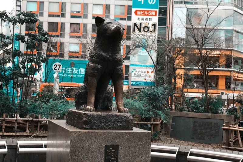 Hachiko Statue, Sehenswürdigkeit Tokio