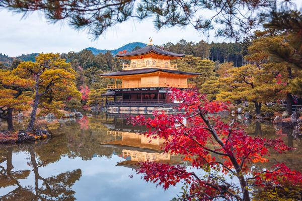 Kinkakuji Tempel im Herbst