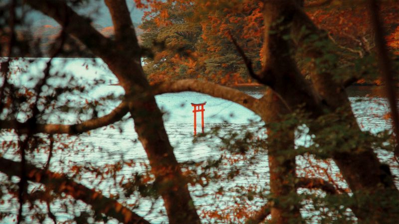 Rotes Torii Tor, Hakone, Japan