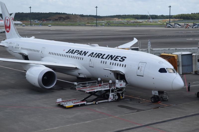 Boeing 787, Japan Airlines, Günstig nach Japan fliegen